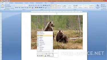 Кілька способів додати картинку в microsoft word (кілька) Кілька способів додати картинку в microsoft word