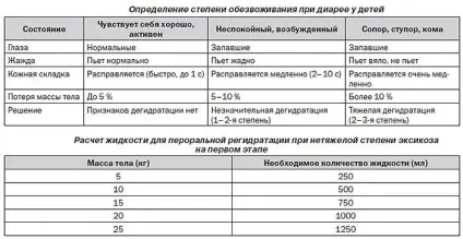 Нетравлення шлунка симптоми у дитини, лікування ліками і народними засобами, дієта для дітей (симптоми) Нетравлення шлунка симптоми у дитини, лікування ліками і народними засобами, дієта для дітей