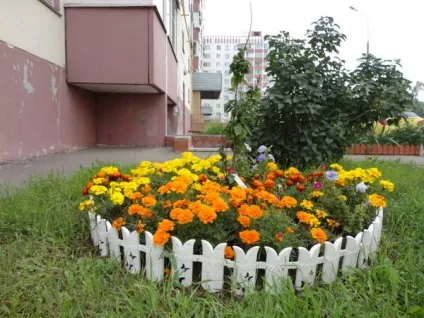 Немає своєї ділянки влаштуйте квітник біля свого під'їзду