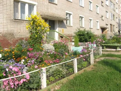 Немає своєї ділянки влаштуйте квітник біля свого під'їзду