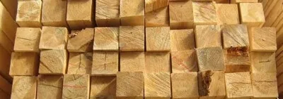 Нижня обв'язка каркасного будинку і способи її кріплення до стрічкового, пальових або стовпчастий (нижня обв'язка каркасного будинку на палях) Нижня обв'язка каркасного будинку і способи її кріплення до стрічкового, пальових або стовпчастий