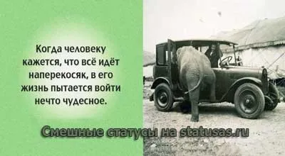 Нові смішні статуси