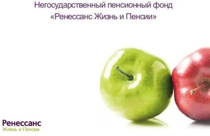 Нпф ренесанс життя і пенсії рейтинг та відгуки (життя) Нпф ренесанс життя і пенсії рейтинг та відгуки
