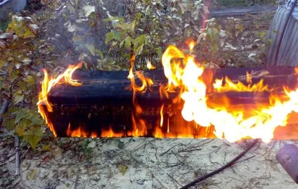 Обпечене дерево для обробки переваги і виготовлення своїми руками (обгоріле дерево в інтер'єрі) Обпечене дерево для обробки переваги і виготовлення своїми руками
