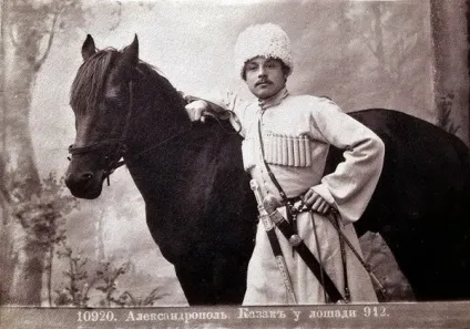 Огляд кабардинской породи коней опис і повна характеристика з фото (фото) Огляд кабардинской породи коней опис і повна характеристика з фото