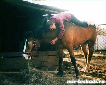 Спілкування з конем