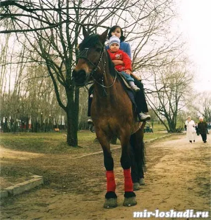 Спілкування з конем