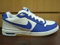 Огляд nike sb