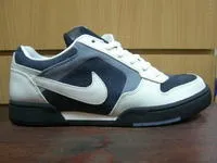 Огляд nike sb