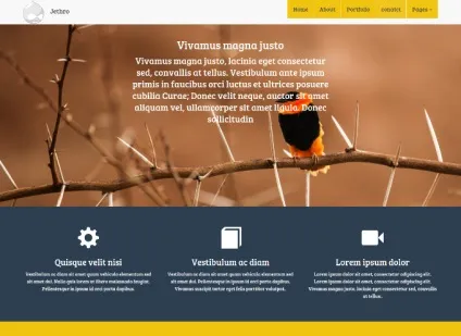 Огляд шаблонів для drupal 8, tlito