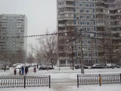 Огляд wexler zen5, @ageofgeeks