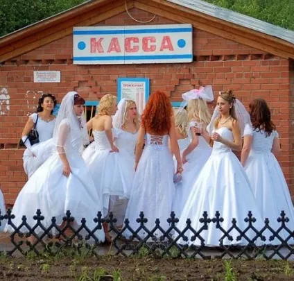 Черга в загс - як встати в чергу на реєстрацію шлюбу (загс) Черга в загс - як встати в чергу на реєстрацію шлюбу