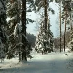 Про єдність душ і про половинках