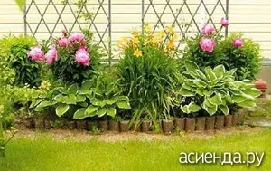 Оформлення квітника в парадній зоні (клумба) Оформлення квітника в парадній зоні