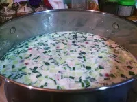 Окрошка на майонезе- улюблений рецепт, перевірений часом (покроковий рецепт приготування з фото) (огірками і редискою на кефірі) Окрошка на майонезе- улюблений рецепт, перевірений часом (покроковий рецепт приготування з фото)