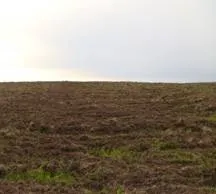 Небезпека забруднення грунту