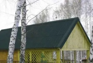 Ондулін або профнастил для покрівлі (металочерепиця) Ондулін або профнастил для покрівлі