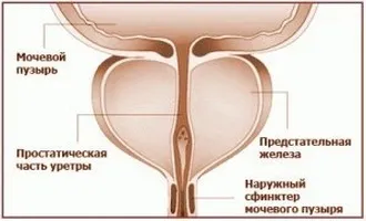 Опис дії, особливостей конструкції і технічних характеристик апарату - просто, (апарат Простам надає) Опис дії, особливостей конструкції і технічних характеристик апарату - просто,