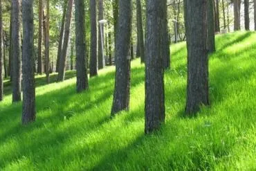 Онкологічні санаторії ціни на 2017 рік з лікуванням, офіційний сайт курорт експерт (курорт) Онкологічні санаторії ціни на 2017 рік з лікуванням, офіційний сайт курорт експерт