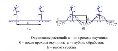 Підгортальники для мотоблока характеристики, пристрій і пременение, motoblok-kultivator (пременение) Підгортальники для мотоблока характеристики, пристрій і пременение, motoblok-kultivator