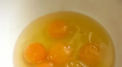 Омлет з сиром (на сковороді, в мультиварці) рецепти з фото (омлет з помідорами і сиром) Омлет з сиром (на сковороді, в мультиварці) рецепти з фото