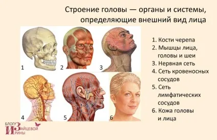 Омолодження особи без операцій