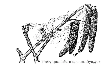 запилення -