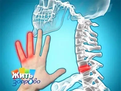 Оніміння щелепи причини оніміння особи, обстеження при оніміння особи, кт, мрт, кваліфікований (особи) Оніміння щелепи причини оніміння особи, обстеження при оніміння особи, кт, мрт, кваліфікований