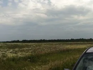 Про мінливості припущень і прогнозів - ярмарок майстрів - ручна робота, handmade (мед) Про мінливості припущень і прогнозів - ярмарок майстрів - ручна робота, handmade