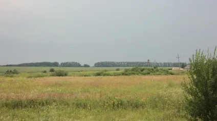 Про мінливості припущень і прогнозів - ярмарок майстрів - ручна робота, handmade (прополіс) Про мінливості припущень і прогнозів - ярмарок майстрів - ручна робота, handmade