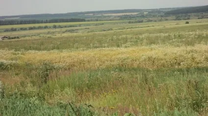 Про мінливості припущень і прогнозів - ярмарок майстрів - ручна робота, handmade (скраб) Про мінливості припущень і прогнозів - ярмарок майстрів - ручна робота, handmade
