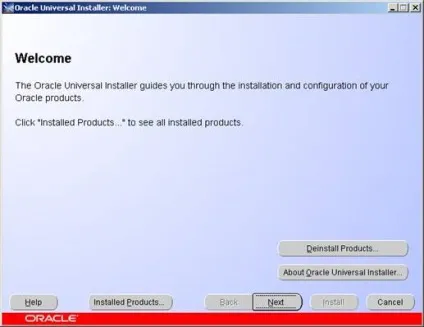 Oracle database 10