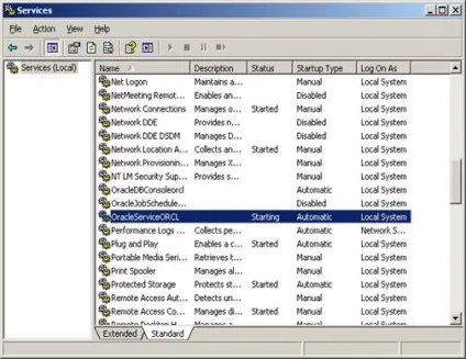 Oracle database 10
