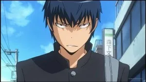 Огляд на аніме toradora! ( «Торадора!»)