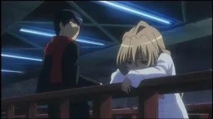 Огляд на аніме toradora! ( «Торадора!»)