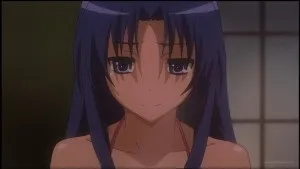 Огляд на аніме toradora! ( «Торадора!»)
