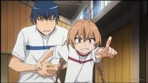 Огляд на аніме toradora! ( «Торадора!»)