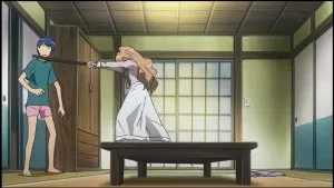 Огляд на аніме toradora! ( «Торадора!»)