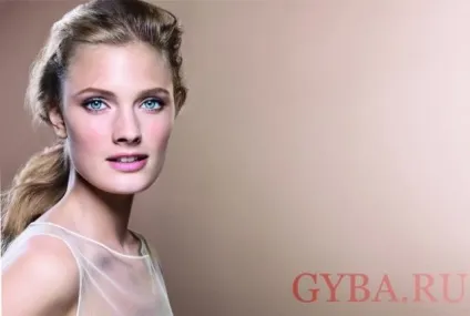 Огляд пудри estee lauder, її види, опис та відгуки (estee) Огляд пудри estee lauder, її види, опис та відгуки