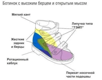 Взуття для дітей Тотті детальний огляд лінійок, відгуки людей (опис) Взуття для дітей Тотті детальний огляд лінійок, відгуки людей