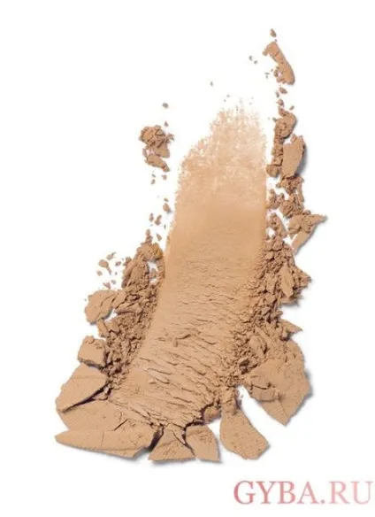 Огляд пудри estee lauder, її види, опис та відгуки (lauder) Огляд пудри estee lauder, її види, опис та відгуки