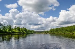 Оснащення донної вудки годівницею пристрій снасті, техніка лову фідером (годівницею) Оснащення донної вудки годівницею пристрій снасті, техніка лову фідером