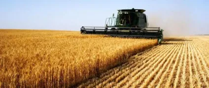 Основні економічні райони України опис, спеціалізація і склад