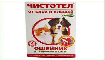 Нашийники від бліх для котів і кошенят інструкція, як діє (кошенят) Нашийники від бліх для котів і кошенят інструкція, як діє