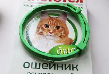 Нашийник від бліх для котів інструкція, дія, види (кішок) Нашийник від бліх для котів інструкція, дія, види