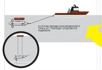 Оригінальні способи контрабанди, цікаві факти (способи) Оригінальні способи контрабанди, цікаві факти