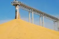 відбулися помідорами