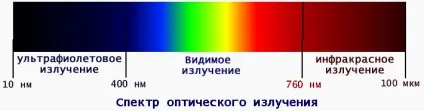 Освітлення акваріума і вибір ламп, які краще вибрати (вибір) Освітлення акваріума і вибір ламп, які краще вибрати