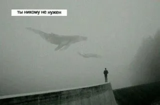 Звідки пішов мем # f57 (море китів, тихий будинок) (які) Звідки пішов мем # f57 (море китів, тихий будинок)