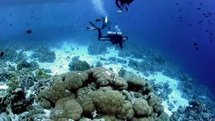 Відпочинок в шарм-ель-Шейху в серпні (відпочинок) Відпочинок в шарм-ель-Шейху в серпні